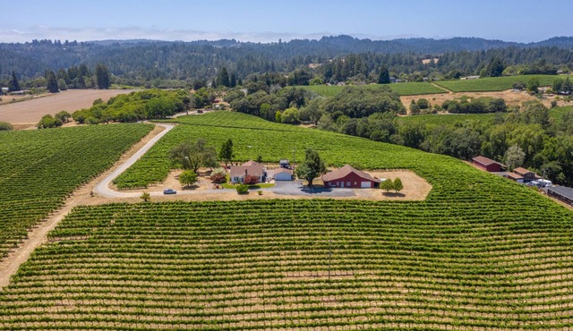 Charming Farm House In The Vineyards On Over 12 Acres