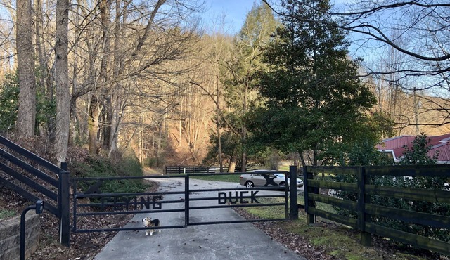 Charming Farmhouse on Beautiful Horse Farm