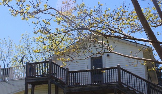 Charming farmhouse with WiFi and AC in lovely Sutherlin