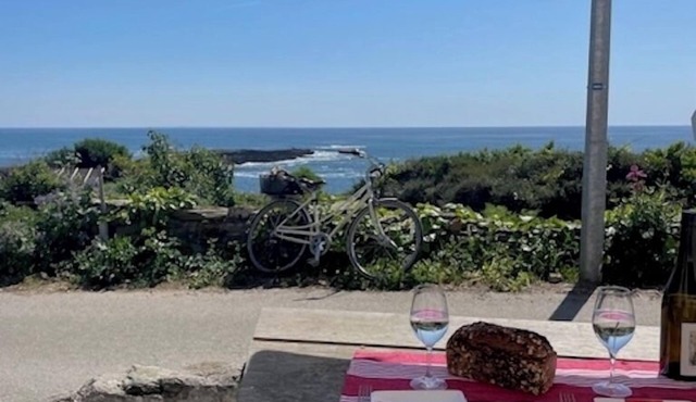 Charming fisherman's cottage, full sea view, 50 m walk to the beach