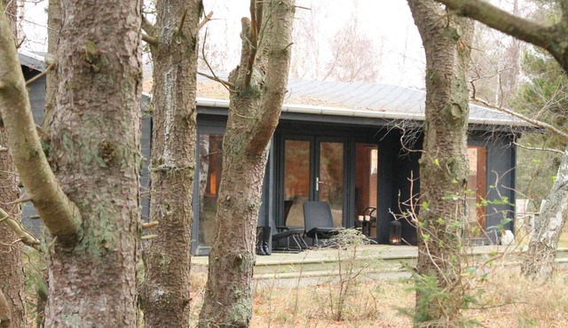 Charming forest cabin near Gedser
