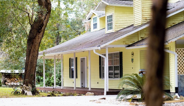 Charming Forest Farmhouse: Nature Lover paradise - Grazing cow field