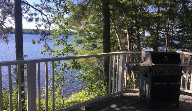 Charming Four Season Cottage on Lake Muskoka