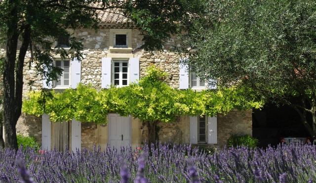 Charming authentic provencal farmhouse