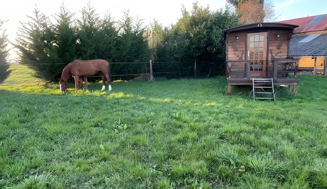 Charming Traditional Caravan with Private Garden in a Horse Boarding Farm