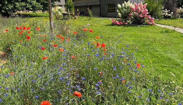 Charming peaceful Normandy House w/Garden, terrace near Honfleur/Deauville