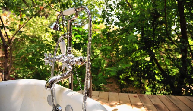 Charming cottage under the trees