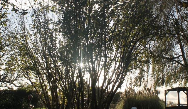 Charming gîte Saint-Émilion/Bordeaux