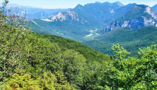 Charming cottage in the middle of nature.