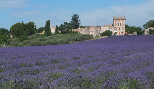 CHARMING GITE IN PROVENCE BETWEEN VENTOUX AND LUBERON DETACHED HOUSE