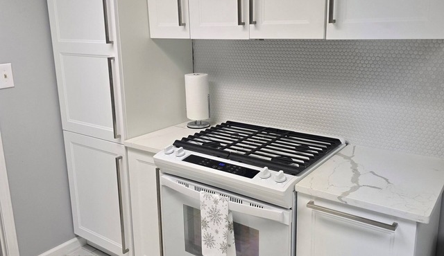 Charming full featured 2-bedroom apartment with WiFi in Stone Mountain!