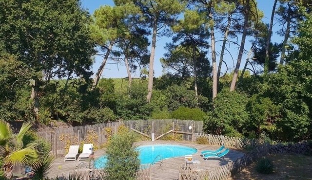 Charming, fully renovated villa with breathtaking forest views.