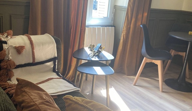 Charming fully renovated apartment in the center of Dijon