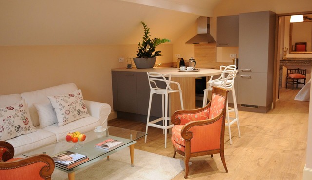 Charming furnished apartment in a 19th castlemanor close to Albi