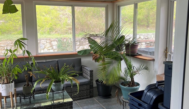 Charming furnished basement with kitchen and full bathroom in adorable Vinton