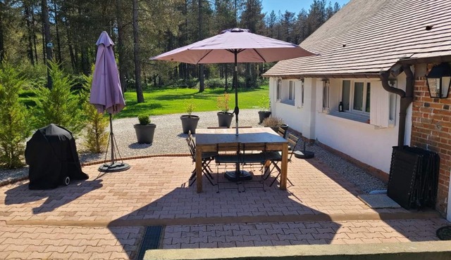 Charming Gîte in Sologne: Forest, Lake, Hiking, Near Orléans & Castles