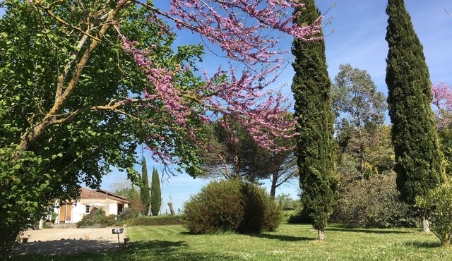 Charming gîte near Eymet