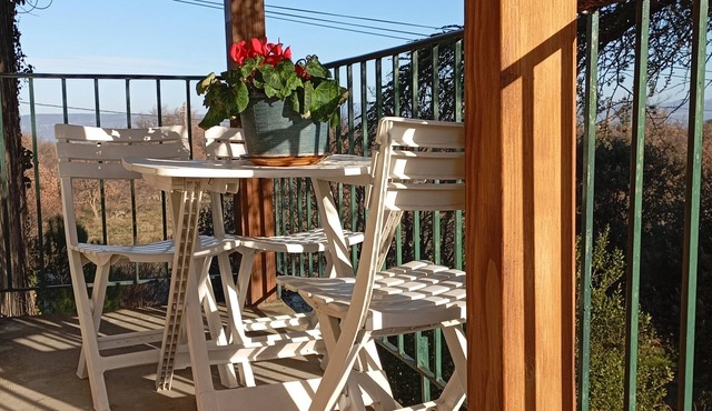Charming Gîte de Champs de Lavandins, view of Mont Ventoux and Luberon