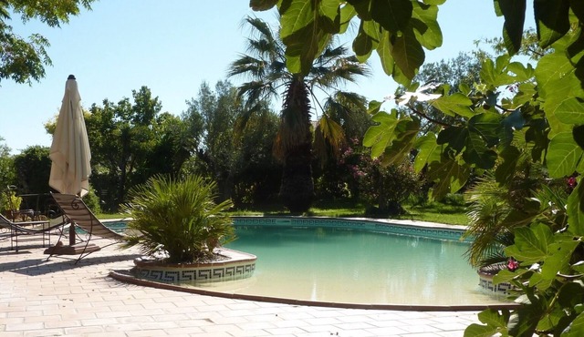 Charming garden house with terrasse and pool