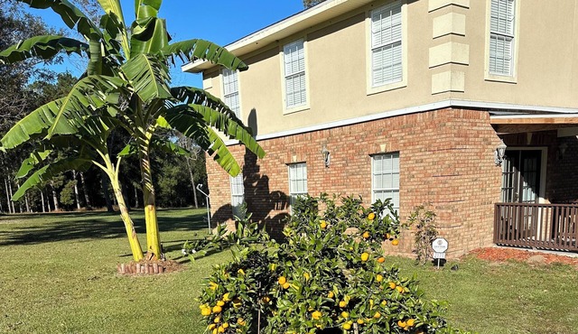 Charming Gated 2-bedroom cottage in Havana with WiFi, AC and Hot Tub.