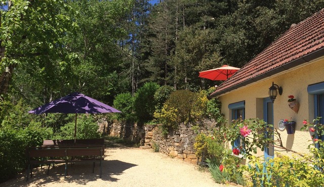 Charming gîte with swimming pool in a wooded area near Sarlat