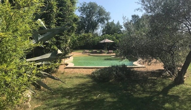 Charming gite and house 80 m², swimming pool (15x8), landscaped grounds near Uzès.