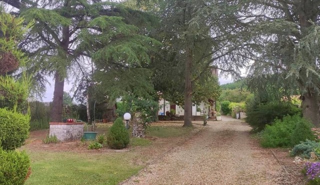 Charming gîte at the gates of Beauval zoo park