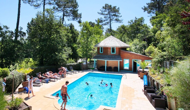 Charming gite for 2 to 4 people with swimming pool and jacuzzi. Dogs welcome.
