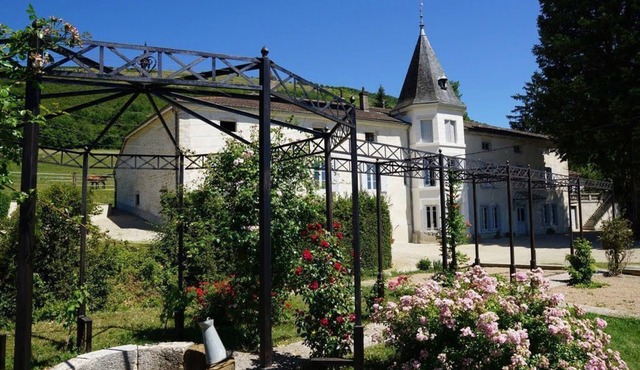 CHARMING GITE IN COURMANGOUX IN THE AIN REGION, 1 H FROM LYON AND 1H30 FROM SUIS