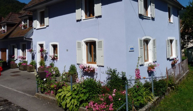 charming gite, on the ground floor, in the heart of the Vosges at the foot of the Ballon d'Alsace