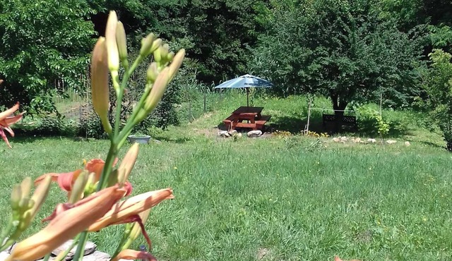 Charming gîte overlooking the Cévennes and 3000m2 grounds