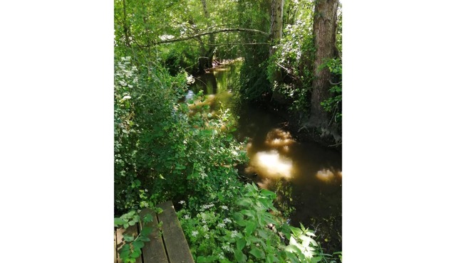 Charming guest house surrounded by nature
