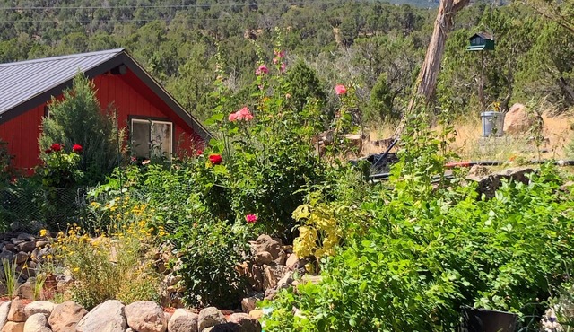 Charming guesthouse with panoramic views!
