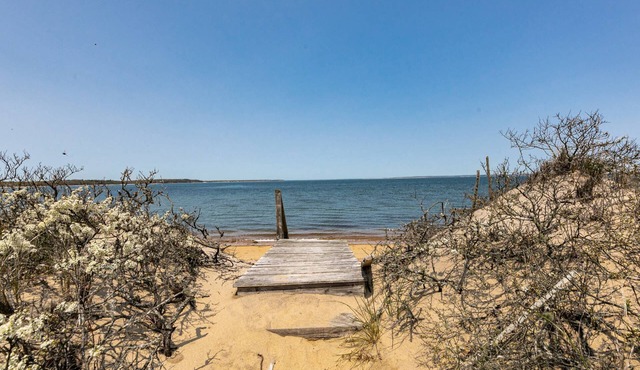 Charming Hampton's Beachfront Escape