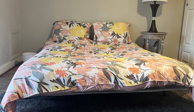 Charming Historic Heights Neighborhood Apartment