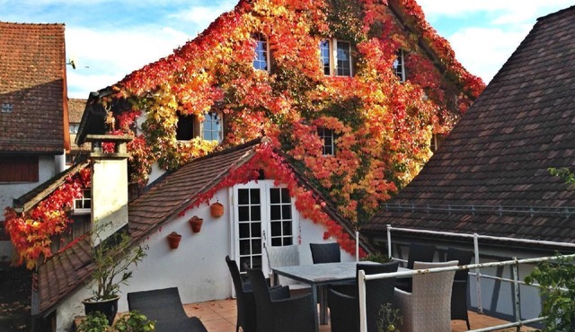 Charming historic house near the Rhine Falls