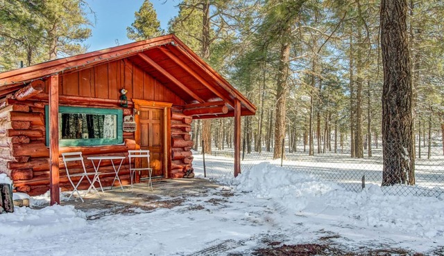 Charming & Historical 1 Room Log Cabin /Forest Views/20 Minutes from Flagstaff