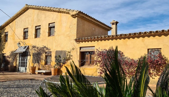 Charming holiday house surrounded by vineyards 60km from Barcelona for groups