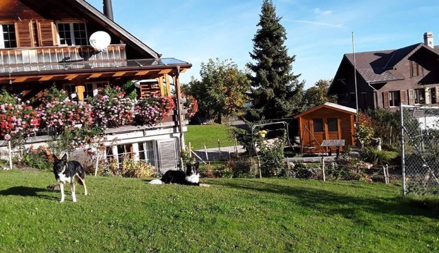 Charming holiday flat in the middle of nature