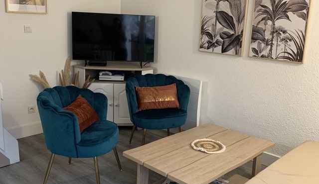 Charming holiday home of 38 m2 with swimming pool and beach on foot!