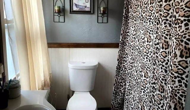 charming home 10 minutes from downtown.