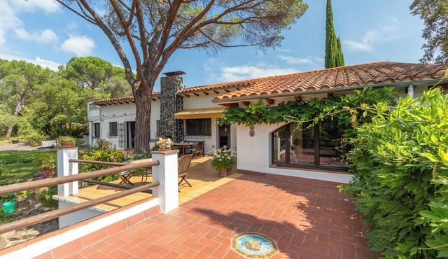 Charming Home in a Green Valley. El Pigot. Tranquility, Nature & Private Pool!