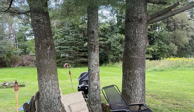 Charming home quick walk to beach and shops. 8 minutes from Saddleback