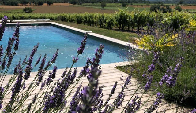 CHARMING HOUSE WITH SUPERB SWIMMING POOL NEAR THE GRAND COLOMBIER.