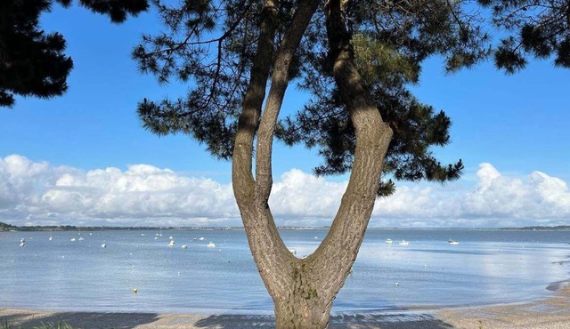 Charming house 300 M from the sea for 6 people