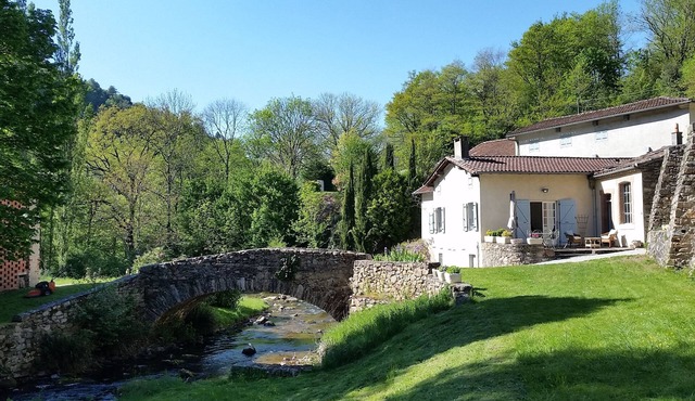 Charming house and small paradise of greenery