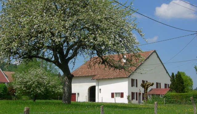 Charming HOUSE COMTOISE, spacious, large garden, private parking