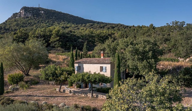 Charming house, exceptional view amidst the vines, absolute peace and quiet