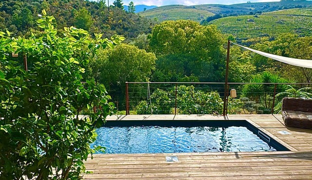 Charming house overlooking vineyards, swimming pool, 3 terraces and superb amenities.
