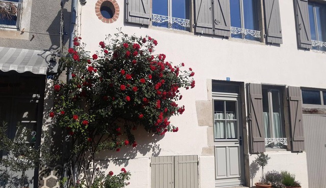 Charming house with enclosed garden, pets allowed in Charroux